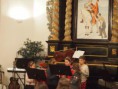 /album/vanocni-koncert-2015-martinsky-kostel/pc151233-jpg/